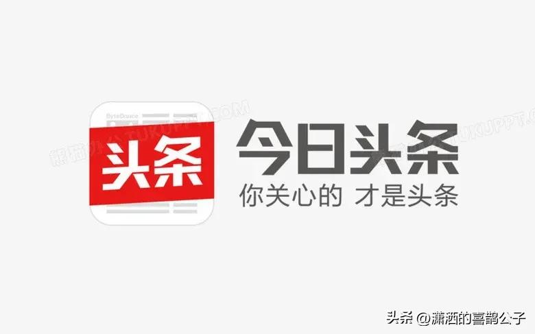 新手如何快速增加粉丝：互动、评论与领域垂直度的关键策略