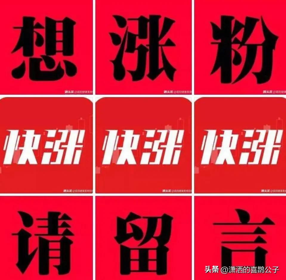 粉丝头条_头条粉丝有用吗_头条的粉丝是什么意思