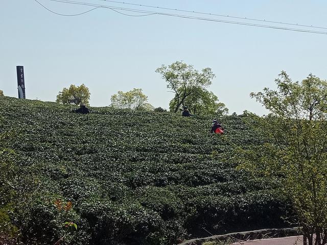 在头条赚钱的真实性揭秘：如何通过创作能力在今日头条实现月入几万