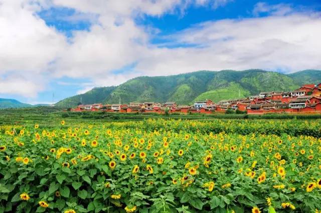 攀枝花本地新闻_攀枝花新闻头条_攀枝花市头条新闻