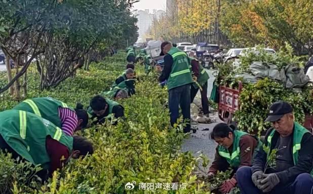 南召最近新闻头条_南召新闻最新消息_南召今天新闻头条