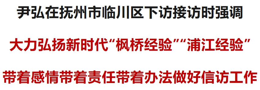 尹弘书记下访抚州临川区，深入践行浦江经验，解决群众信访问题