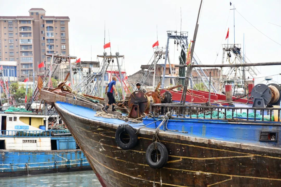 海城新闻头条今日新闻_海城新闻头条_头条新闻海城最新消息