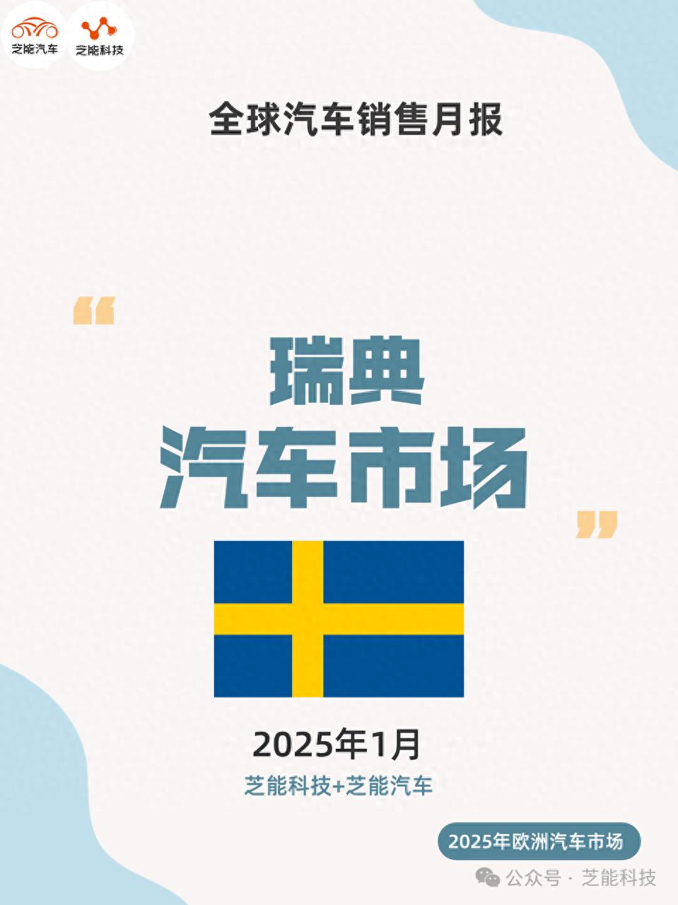 2025年1月瑞典汽车市场分析：新能源汽车占比51.6%，大众ID.7成最畅销纯电动车型