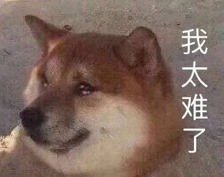 法国杯结果_法国世界杯赔率_法国杯赛程比分