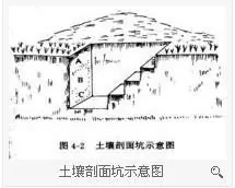 耕作层与犁底层的特点及其对农业生产的影响深度解析