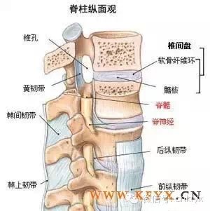 亚盘是啥意思_亚盘盘型_sb亚盘特点