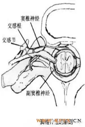 sb亚盘特点_亚盘是啥意思_亚盘盘型