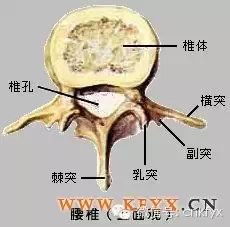 亚盘是啥意思_sb亚盘特点_亚盘盘型