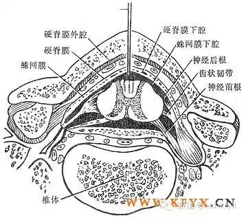 亚盘是啥意思_sb亚盘特点_亚盘盘型