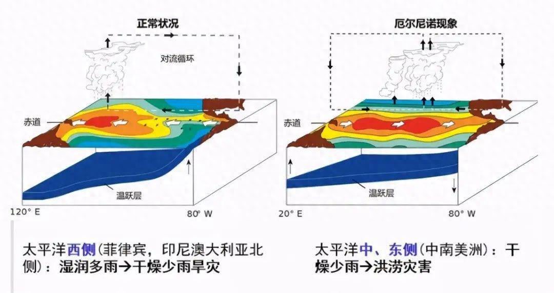 2026世界杯赛程为什么是冬天_2021冬季世界锦标赛_冬天举办的世界杯