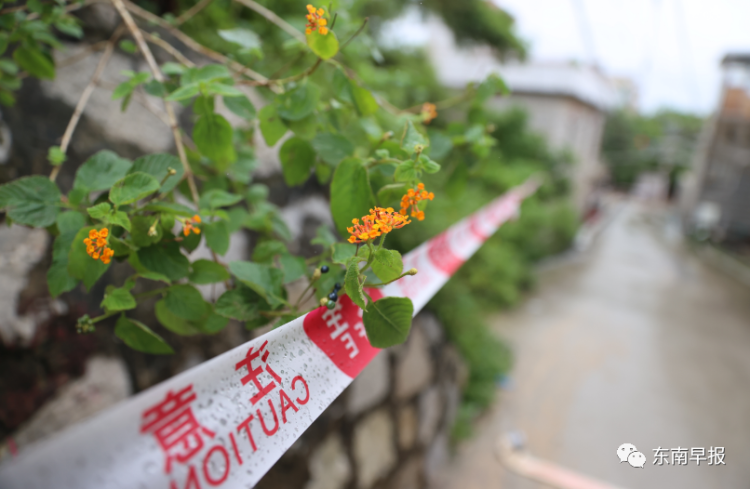 台风海葵致泉州台商区暴雨 石盘坝山围塘渗水紧急转移77人