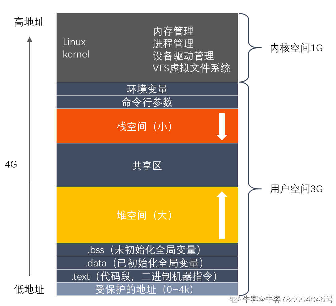 字节跳动C++后端校招面经：vector尾部添加元素与连续内存空间的关系解析