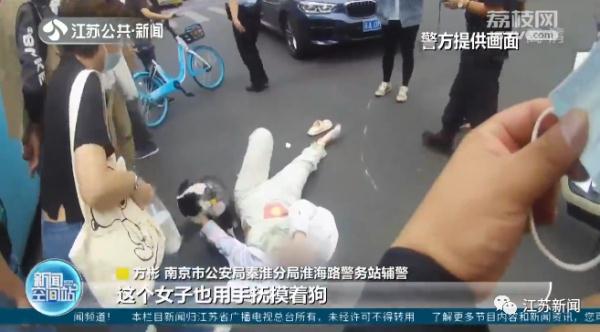 南京街头女子车祸受伤，宠物狗不离不弃感人瞬间被民警记录