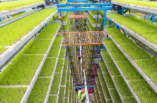 世界赛比赛结果_2026世界杯赛程表完整版_2021年世具杯