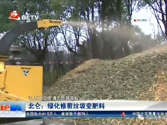 北仑今日头条新闻_北仑新闻头条_北仑新闻