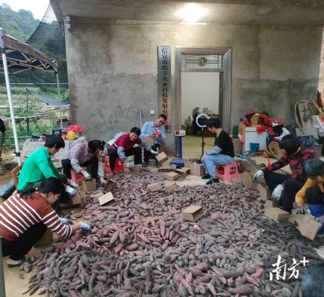 信宜头条新闻今天_关注信宜头条_信宜头条新闻