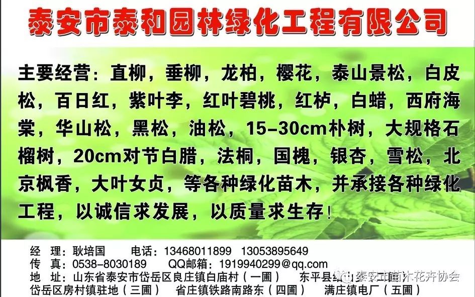 今曰头条和极速版区别_今日头条的几个版本_今日头条各种版本区别