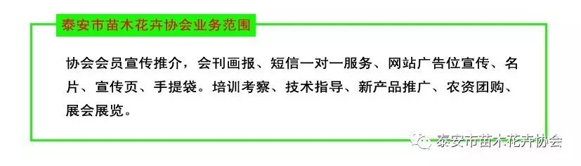 今日头条的几个版本_今日头条各种版本区别_今曰头条和极速版区别