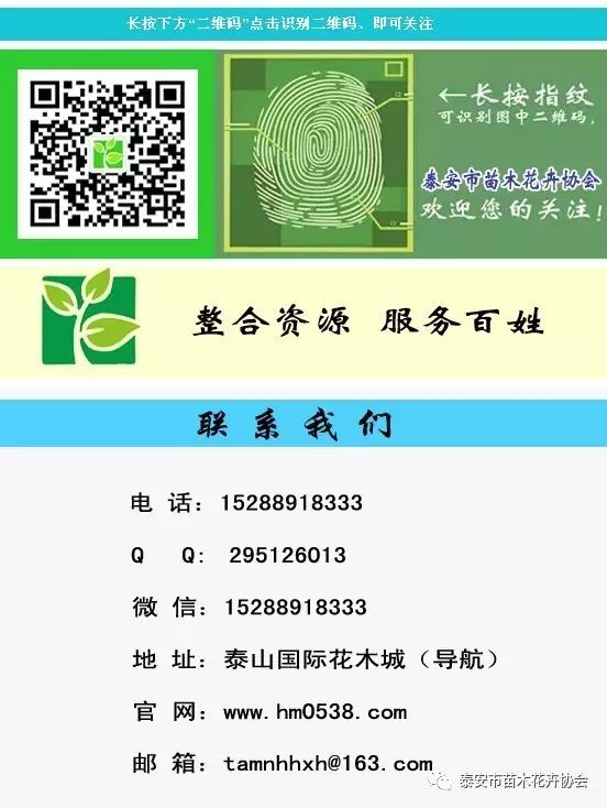 今曰头条和极速版区别_今日头条各种版本区别_今日头条的几个版本