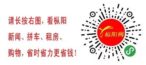 枞阳今日新闻_枞阳在线今日头条_枞阳网今日头条