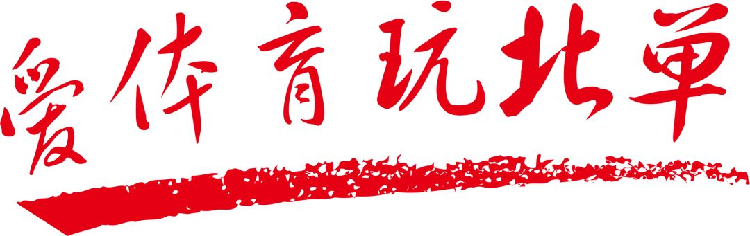 胜负彩比分网_足球比分胜平负_北京单场胜平负比分投注