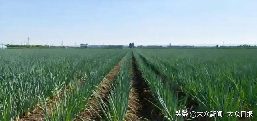 足球网上买票_网上买足球比赛犯法吗_足球北单网上可以买吗
