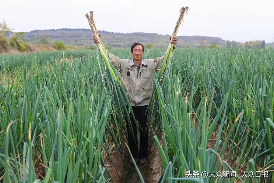 足球网上买票_网上买足球比赛犯法吗_足球北单网上可以买吗