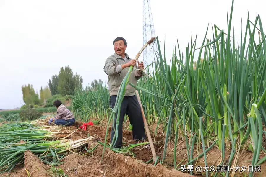 网上买足球比赛犯法吗_足球北单网上可以买吗_足球网上买票