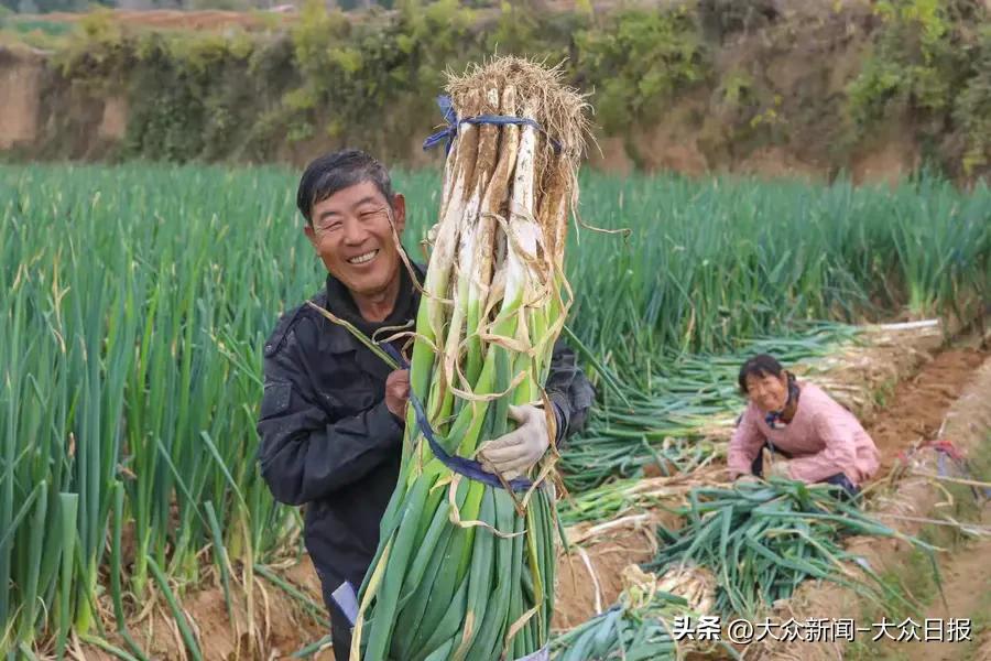 网上买足球比赛犯法吗_足球北单网上可以买吗_足球网上买票
