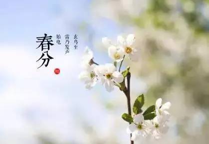 北单技巧_北单攻略_北单最佳玩法