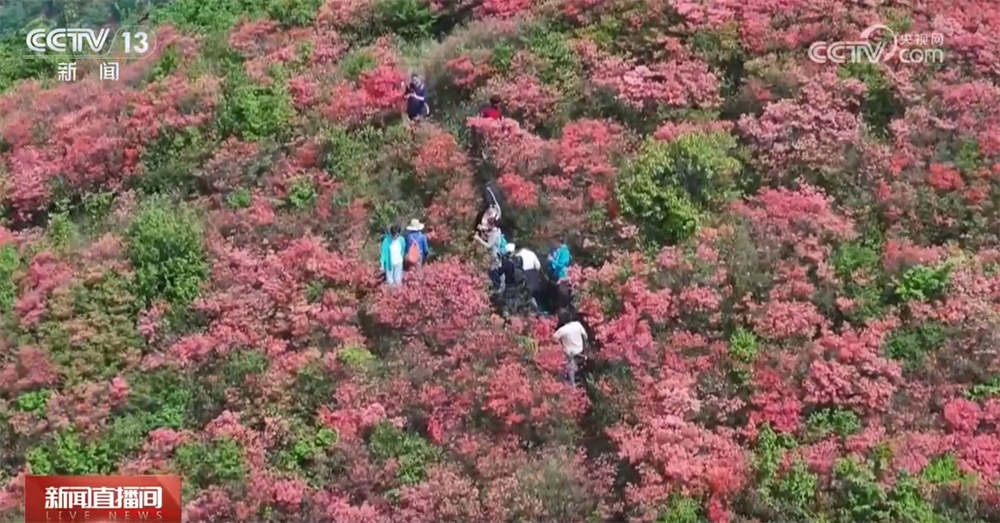北京网上买东西的app哪个好_北京单场如何网上购买_北京网上购买发票什么流程