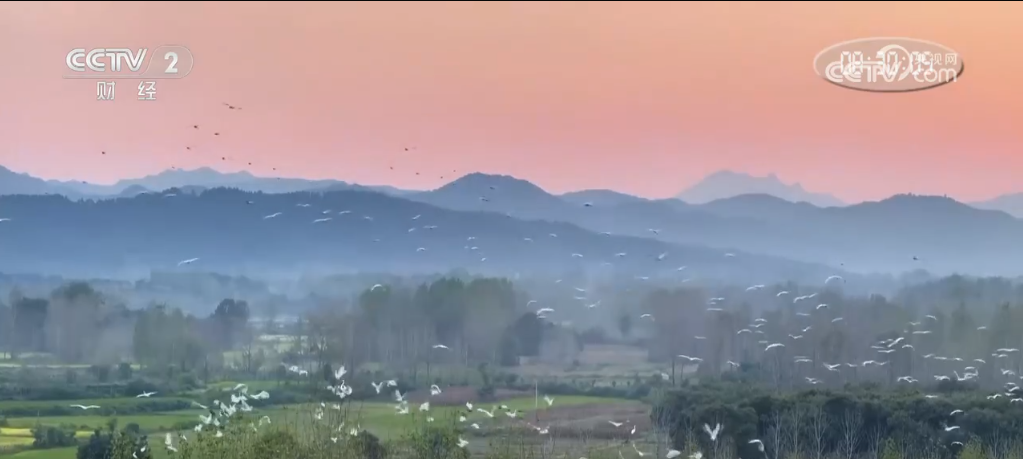 某人天天霸占头条_占据各大头条_占领头条
