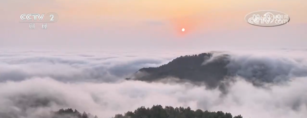 占据各大头条_占领头条_某人天天霸占头条