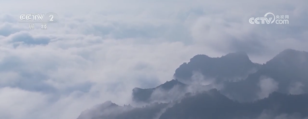 某人天天霸占头条_占据各大头条_占领头条