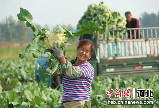 2026世界杯赛程为什么是冬天_冬季世界杯联赛怎么办_冬天举办的世界杯