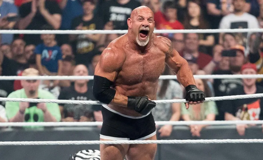 2021wwe夏日狂潮_wwe2025夏日狂潮布洛克_布洛克vs朋克夏日狂潮