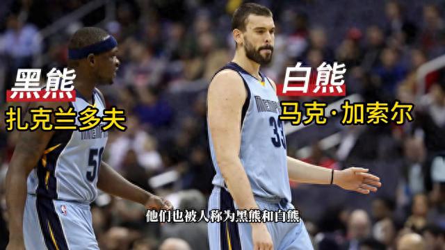 每天认识NBA球员马克·加索尔：传奇生涯及成就全解析