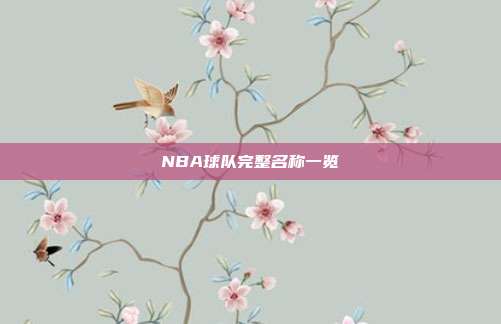 NBA球队完整名称一览