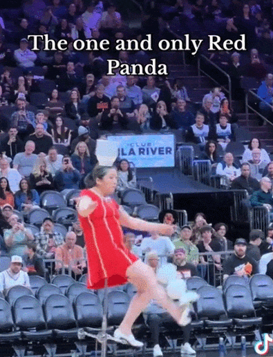nba啦啦队服装_nba啦啦队穿衣服规定_啦啦队的服装