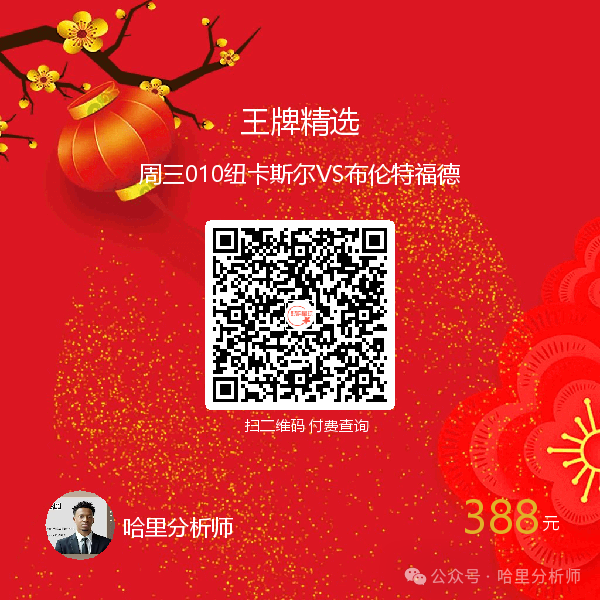 fm2025勒沃库森_勒沃库森2024主力阵容_勒沃库森2024战绩