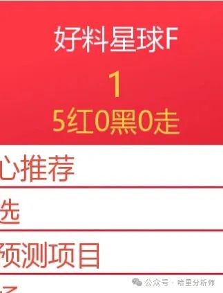 勒沃库森2024战绩_fm2025勒沃库森_勒沃库森2024主力阵容