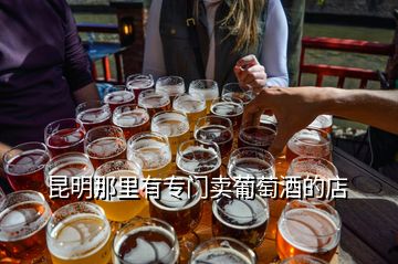 昆明那里有专门卖葡萄酒的店